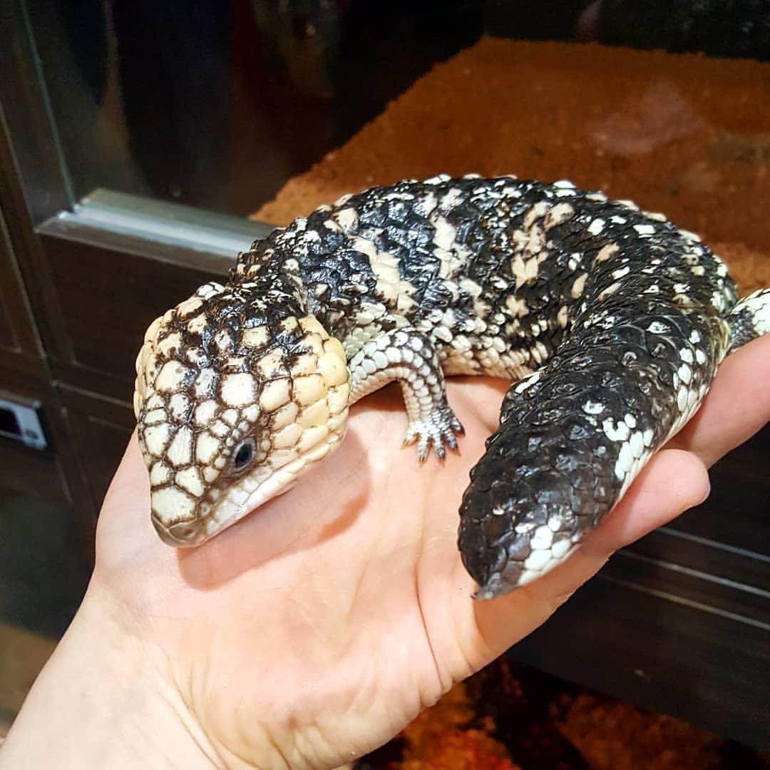 2024_04_09_21_30_IMG_8593